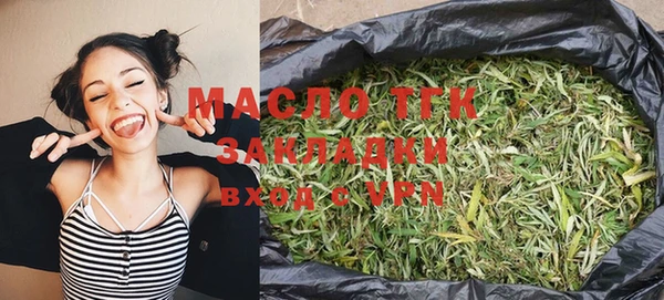 стаф Аркадак