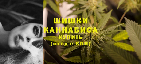 гидропоника Ростов