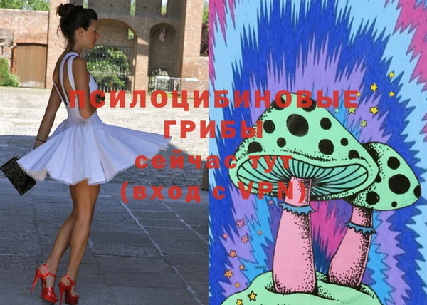 стаф Аркадак