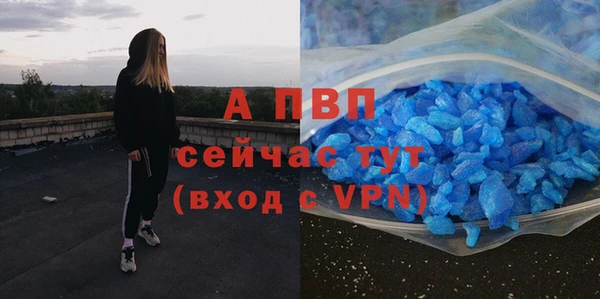 стаф Аркадак