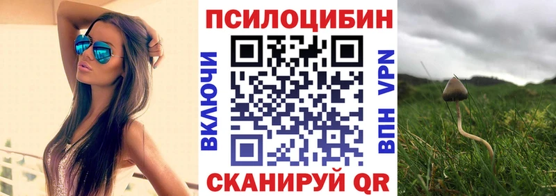 Псилоцибиновые грибы Psilocybine cubensis  купить наркотик  МЕГА ссылка  Цимлянск 